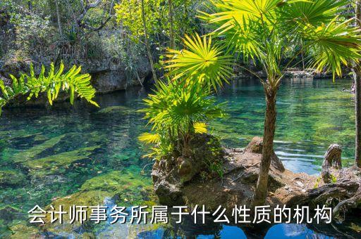 鄭商所期衍所屬于什么性質，會計師事務所屬于什么性質的機構