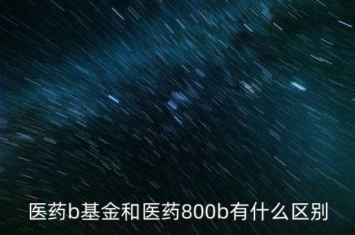 醫藥b基金和醫藥800b有什么區別