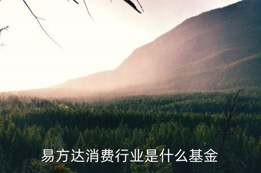 易方達消費行業是什么基金