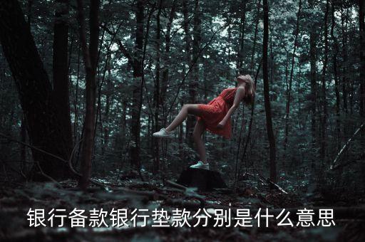 墊款是什么意思，還墊款是什么意思