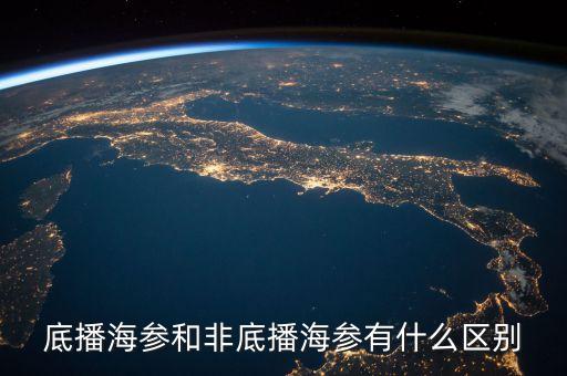 底播海參和非底播海參有什么區別