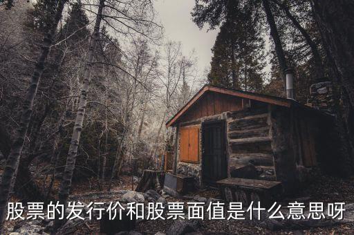 股票的發行價和股票面值是什么意思呀
