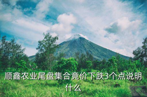 順鑫農業尾盤集合竟價下跌3個點說明什么
