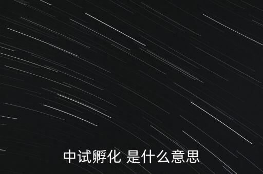 中試孵化是什么意思，中試孵化 是什么意思