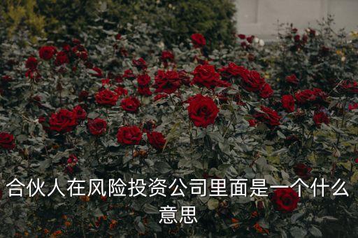 vc合伙人是什么，風險投資公司中的合伙人和經理人都是什么意思