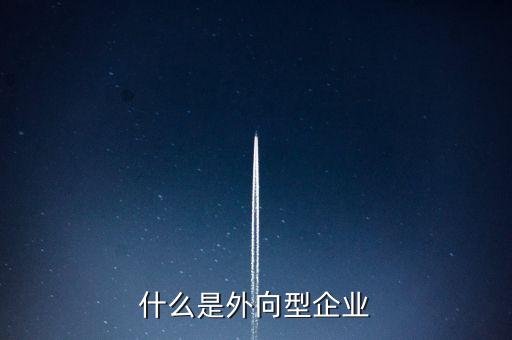 什么是外向型企業