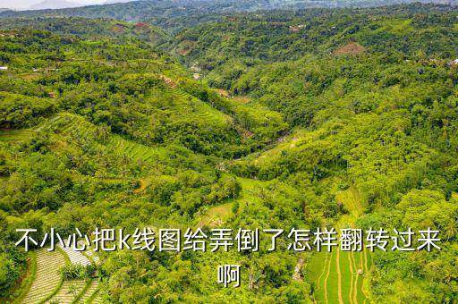 股票k線圖翻轉按什么鍵，電腦上股票k線圖怎么才能往前翻