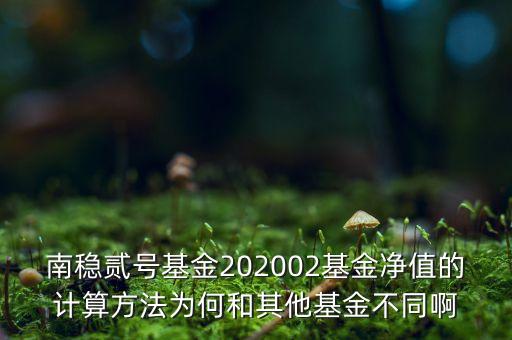 南穩二號為什么要分紅，南穩貳號基金202002基金凈值的計算方法為何和其他基金不同啊