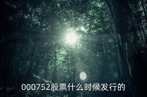 九泰銳富什么時候發行，000752股票什么時候發行的