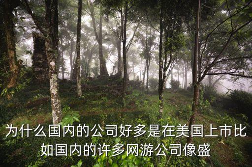 為什么國內的公司好多是在美國上市比如國內的許多網游公司像盛