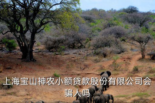 上海神農小額貸款公司經理叫什么，上海寶山神農小額貸款股份有限公司會騙人嗎