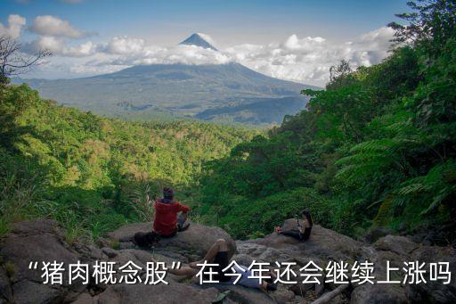 “豬肉概念股”在今年還會繼續上漲嗎