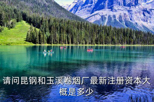 大紅山管道有限公司,巴里坤大紅山礦業有限公司