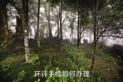 坪山環評公司,環評公司主要干什么的