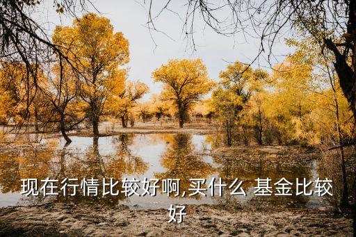 現在行情比較好啊,買什么 基金比較好