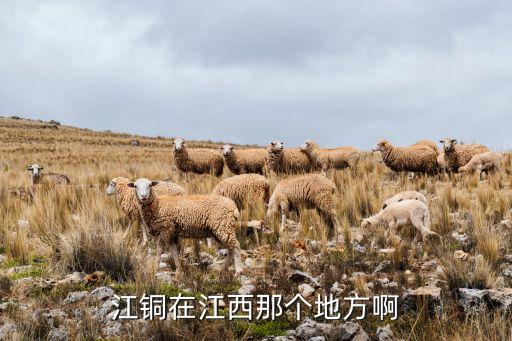 陽谷景陽岡銅材有限公司,山東陽谷景陽岡酒業有限公司