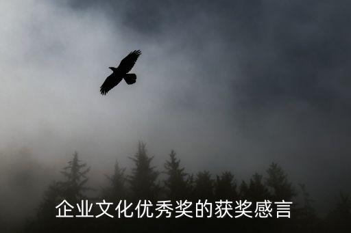 企業文化優秀獎的獲獎感言