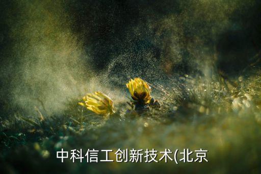  中科信工創新技術(北京