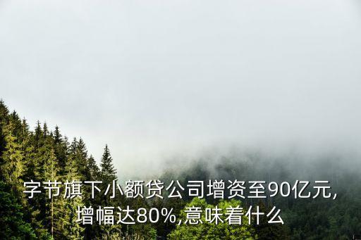 中國電商小貸累計貸款規模
