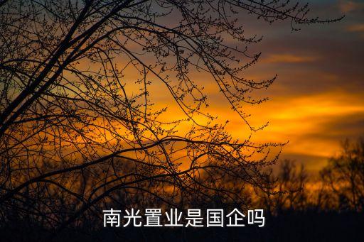  南光置業是國企嗎