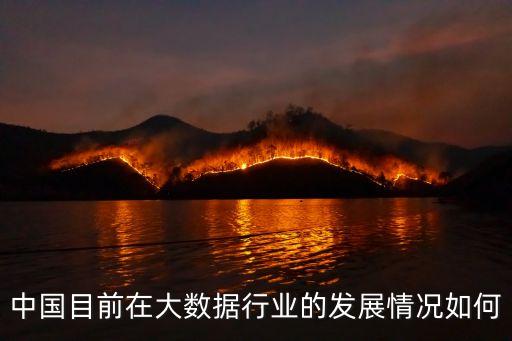 2013年中國互聯網行業投資分布