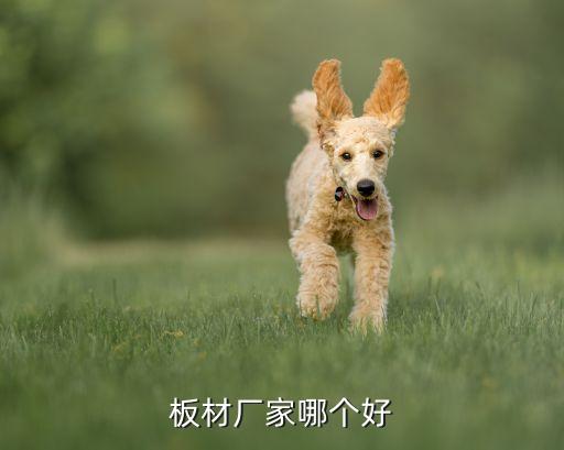 嘉興彩聯新材料科技有限公司,優澎(嘉興)新材料科技有限公司