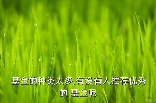  基金的種類太多,有沒有人推薦優秀的 基金呢