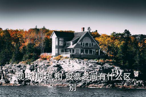 現貨,期貨,和 股票之間有什么區別