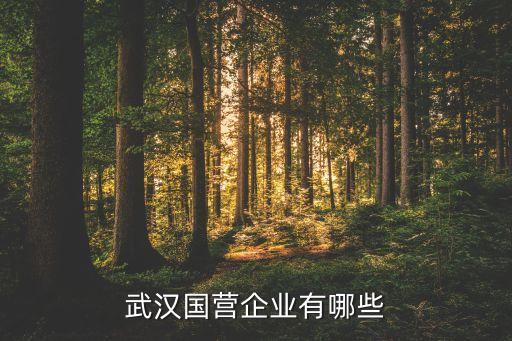 葛化集團重組祥龍電業