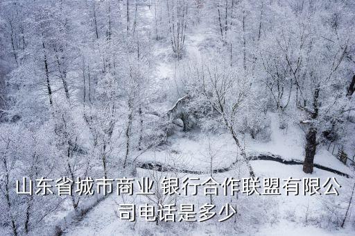 山東省城市商業 銀行合作聯盟有限公司電話是多少