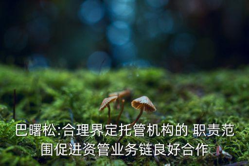 巴曙松:合理界定托管機構的 職責范圍促進資管業務鏈良好合作