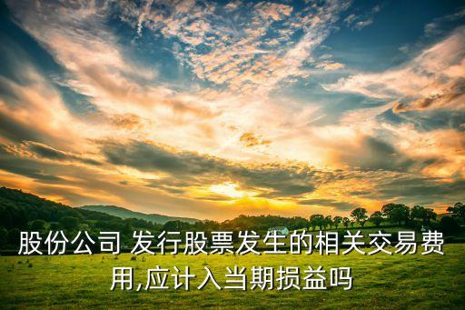 發行股票凍結期間的利息收入,公司發行股票凍結期間所產生的利息收入應