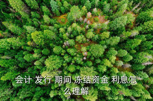 會計 發行 期間 凍結資金 利息怎么理解