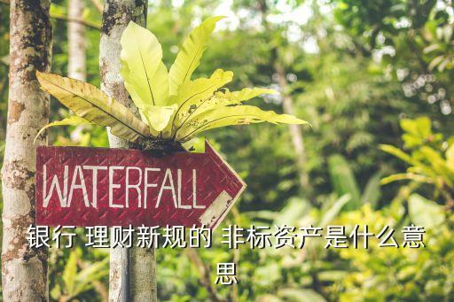 銀行 理財新規的 非標資產是什么意思
