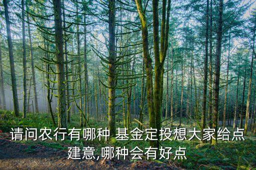 農業(yè)銀行高增長混合基金,農銀高增長基金混合000039