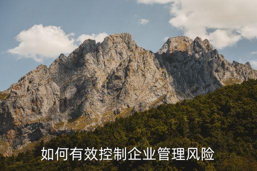 如何有效控制企業管理風險