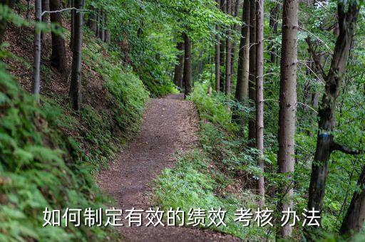 財險公司車行業務考核管理辦法