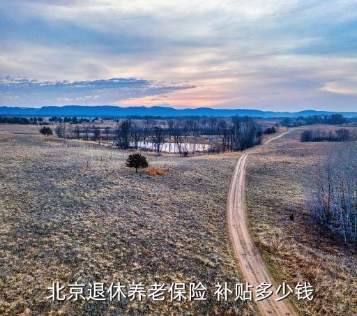 北京社會保險補貼,北京靈活就業人員社會保險補貼