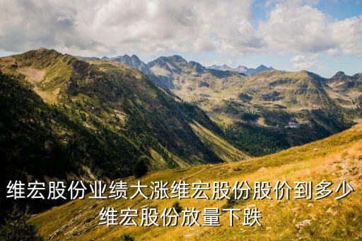 服務產業股票,mr產業龍頭股票