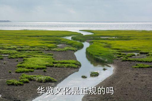 華覽文化是正規的嗎