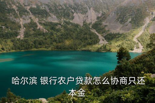  哈爾濱 銀行農戶貸款怎么協商只還本金