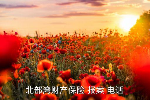 北部灣財產保險 報案 電話