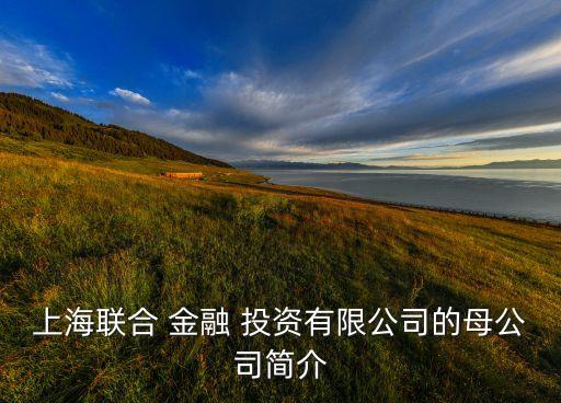 上海聯合 金融 投資有限公司的母公司簡介