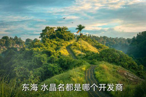 東海 水晶名都是哪個開發商