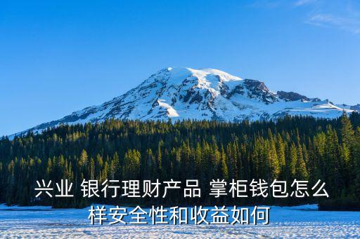 興業銀行錢大掌柜新版本