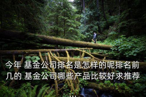 今年 基金公司排名是怎樣的呢排名前幾的 基金公司哪些產品比較好求推薦...