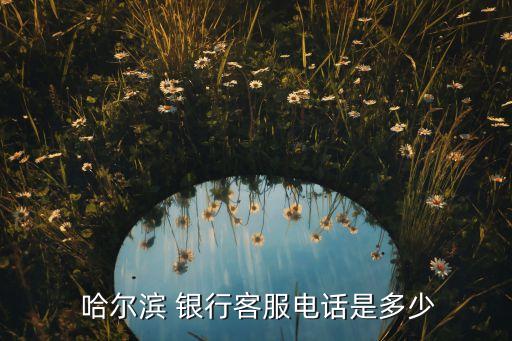 哈爾濱銀行互聯網金融事業部,傳統銀行如何應對互聯網金融挑戰