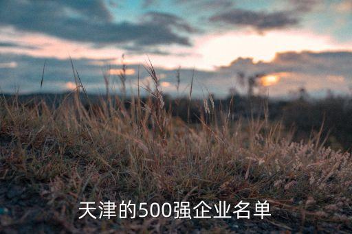 天津的500強企業名單