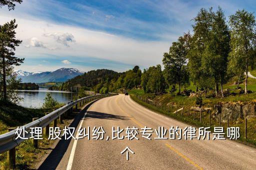 處理 股權糾紛,比較專業的律所是哪個