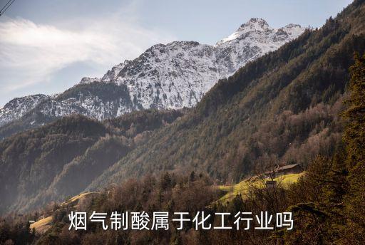 煙氣制酸屬于化工行業嗎